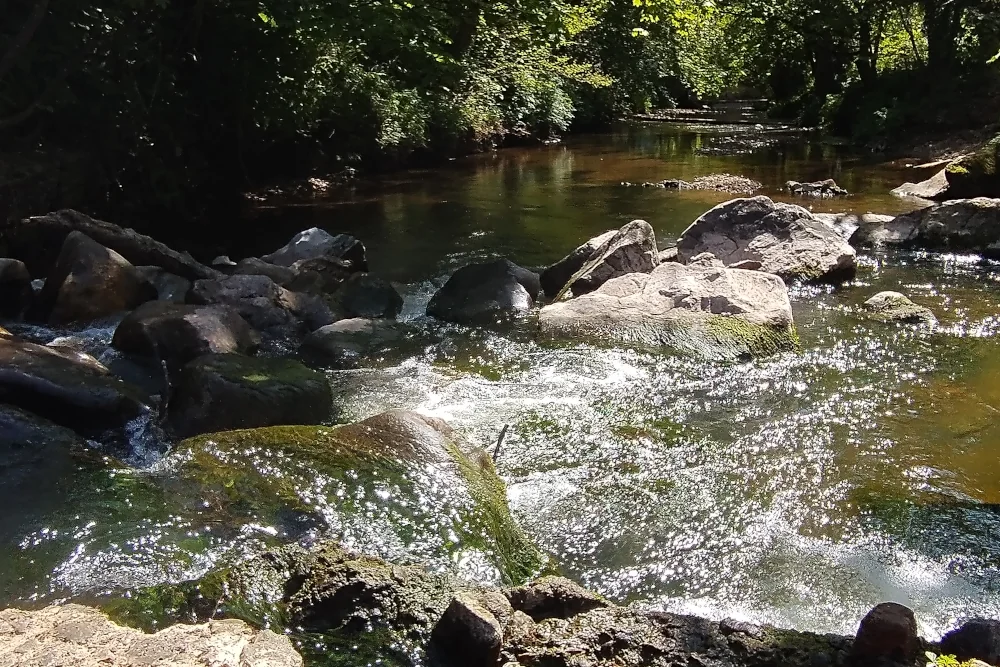 River Sid flowing through The Byes in East Devon