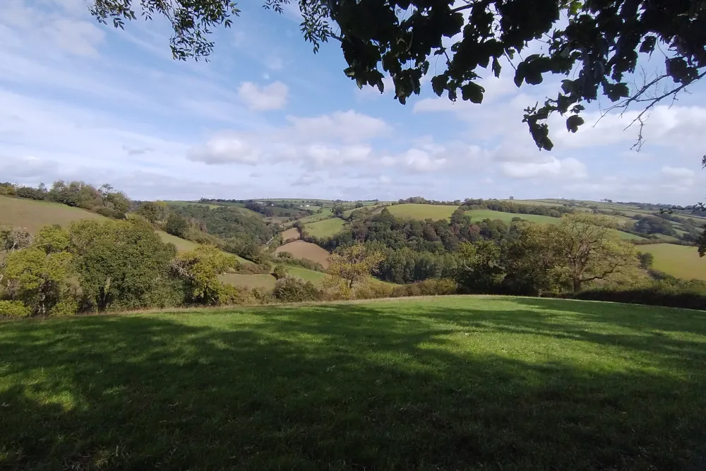 Countryside view on the Cadeleigh walk in Mid Devon