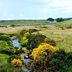 Dartmoor