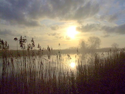 Dawn Over Exeter Canal