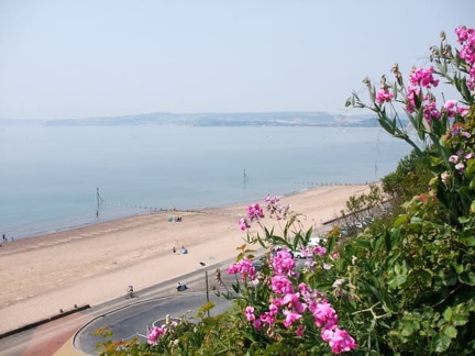 Exmouth Beach and Estuary