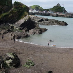 Rapparee Cove